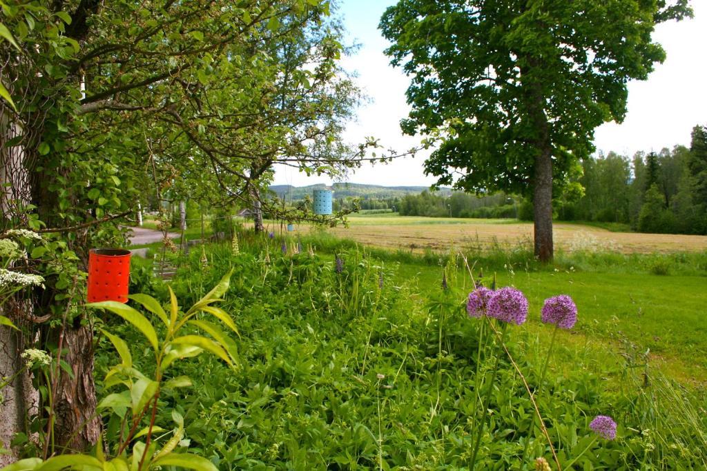 Leksands Gaesthemホステル エクステリア 写真